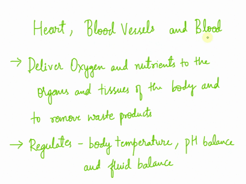 describe-the-three-main-components-of-vertebrate-circulatory-systems-and-discuss-why-the-cardiovascular-system-is-integral-for-maintaining-homeostasis-09339