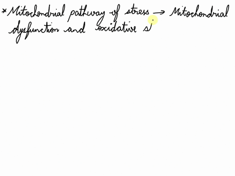 describe-mitochondrial-pathways-of-stress
