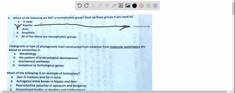 which-of-the-following-are-not-monophyletic-group-look-up-these-groups-if-you-need-to-clade-reptilia-aves-amphibia-all-of-the-bove-are-monophyletic-groups-cladograms-a-type-of-phylogenetic-t-12806