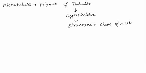 microtubules-play-a-role-in-all-of-the-following-cellular-processes-except-a-formation-of-the-mitotic-spindle-b-providing-mechanical-strength-to-animal-cells-c-vesicle-transport-d-flagella-m-42504