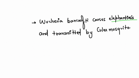 wuchereria-bancrofti-causes-and-requires-an-intermediate-host-a-trichinosis-invertebrate-b-bilharzia-fresh-water-snail-c-malaria-anopheles-mosquito-d-elephantiasis-vertebrate-e-elephantiasis-culex-m-2