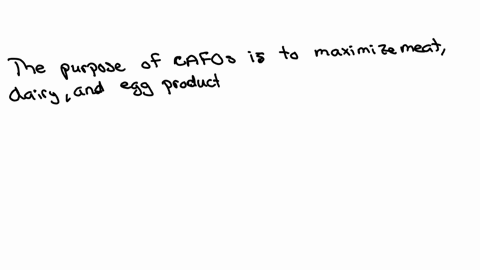 12-why-ultimately-are-cows-raised-in-cafos-confined-animal-feeding-operations-as-opposed-to-pastures
