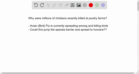 why-were-millions-of-chicken-kill-recently-write-the-reason-and-problems-faced-by-poultry-farmers-79047