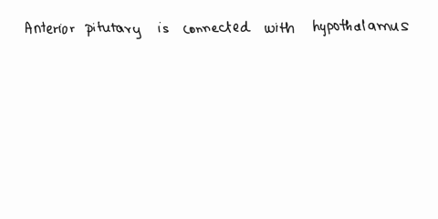 question-0n1-the-hypothalamus-portal-system-connected-to-the-posterlor-pituitary-by-the-hypothakk-true-diritary-false-40864