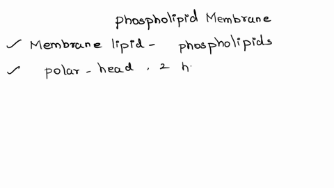 which-is-true-about-the-phospholipid-membrane-group-of-answer-choices-a-it-is-made-up-of-phospholipid-molecules-which-have-a-hydrophilic-tail-and-a-hydrophobic-head-b-it-is-made-up-of-4-laye-13634