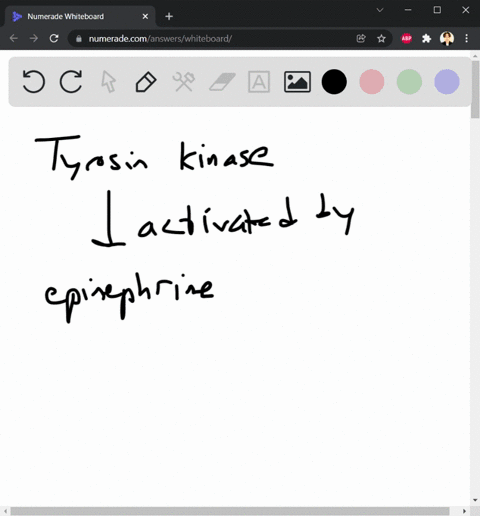 can-you-please-help-me-with-these-questions-3-which-of-the-following-is-incorrect-about-the-tyrosine-kinase-signaling-pathway-select-one-a-activation-of-the-receptor-involves-dimerization-an-10622