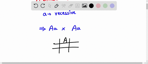 what-the-answer-40