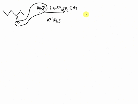 3-what-is-the-major-product-of-the-following-wittig-reaction-phz-chchzchzch3-htihzo-a-3-ethyloctyne-d-4-ethyloctane-e-3-propyl-4-heptene-b-3-propyl-3-heptene-c-4-ethyl-4-octene-what-is-the-c-62793