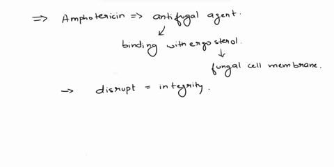 quetlon26-which-one-of-the-antifungal-agents-listed-below-works-by-binding-with-ergosterol-and-creating-apoptosis-secondary-to-intracellular-leakage-of-cations-oaketoconazolenizoral-obamphot-94472