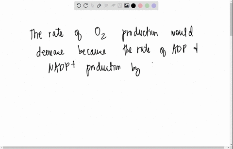 part-a-do-the-light-reactions-pholosynthesis-depend-on-ihe-calvin-cycle-the-rate-of-0z-production-by-the-light-reactions-varies-wilh-the-intensity-of-light-because-light-required-as-ine-ener-38558