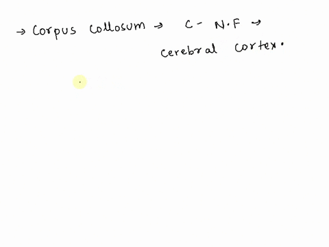 the-corpus-collosum-is-the-part-of-the-brain-which-connects-the-the-frontal-lobe-and-the-temporal-lobe-the-right-and-left-hemisphere-the-occipital-lobe-and-the-temporal-lobe-the-parietal-lob-20502