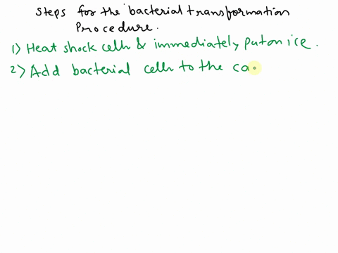olderthe-steps-for-the-bacterial-transformation-procedure-descrbed-in-the-pglo-lab-heat-shock-cells-and-immediately-put-on-ice-incubate-agar-plates-overnight-plate-cells-out-on-agar-plates-p-52176