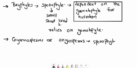 how-does-the-role-of-the-sporophyte-change-if-you-go-from-lower-land-plants-bryophytes-to-higher-land-plants-eg-gymnosperms-or-angiosperms-59121