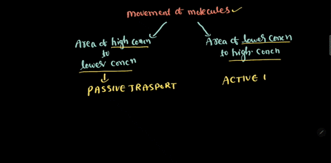the-movement-of-substances-across-a-cell-membrane-from-an-area-of-lower-concentration-to-an-area-of-higher-concentration-which-requires-cellular-energy-a-carrier-protein-is-called-78774