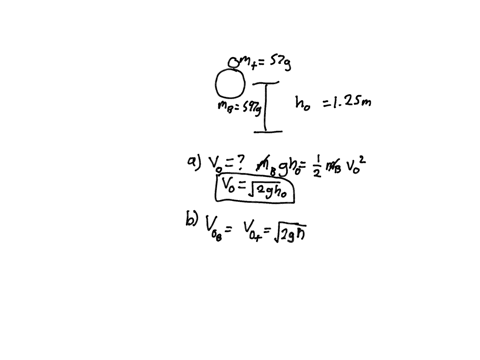 a-tennis-ball-of-mass-570-g-is-held-just-above-a-basketball-of-mass-597-g-with-their-centers-vertically-aligned-both-balls-are-released-from-rest-at-the-same-time-to-fall-through-a-distance-31154