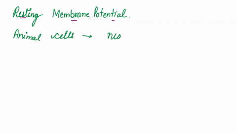 question-13-which-of-the-following-statements-about-resting-membrane-potential-is-correct-a-the-resting-membrane-potential-for-most-animal-cells-is-0-mv-because-the-positive-and-negative-ion-94425