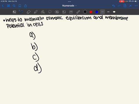 the-major-function-of-the-sodium-potassium-pump-is-toa-pump-na-into-and-k-out-of-the-cellb-generate-the-resting-membrane-potentialc-maintain-the-concentration-gradients-of-na-and-k-across-th-97807