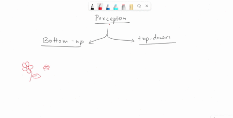 bottom-up-processing-involves-the-____-select-one-a-brains-use-of-incoming-signals-to-construct-perceptions-b-brains-ability-to-integrate-several-stimuli-simultaneously-c-brain-imposing-its-02124