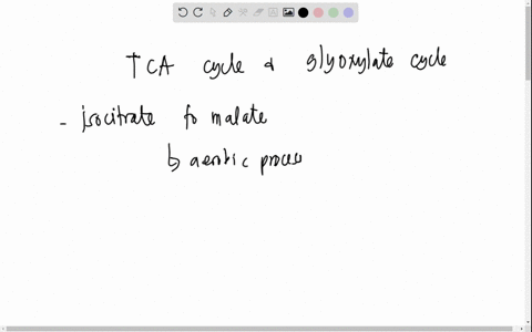 the-conversion-of-acetyl-coa-into-glucose-cannot-occur-in-the-citric-acid-cycle-and-contrasts-that-of-the-glyoxylate-cycle-this-is-because-in-the-tca-cycle-there-is-no-net-production-of-oxal-91716