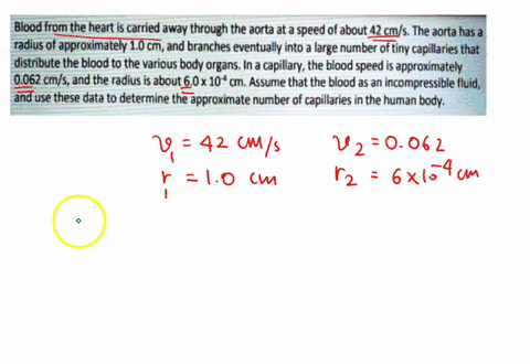 blood-from-the-heart-is-carried-away-through-the-aorta-at-a-speed-ofabout-42-cms-the-aorta-has-a-radius-of-approximately-10-cm-and-branches-eventually-into-a-large-number-of-tiny-capillaries-10176