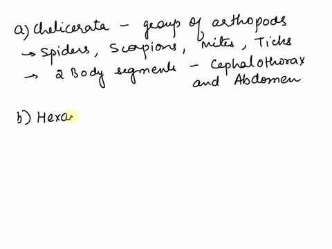 flies-are-_____________-a-chelicerates-b-hexapods-c-arachnids-d-crustaceans-61418