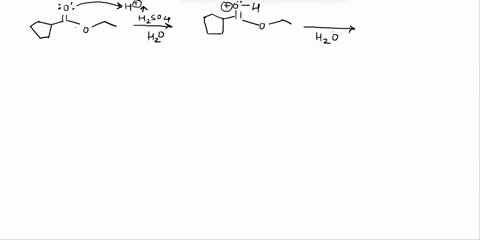provide-detailed-mechanism-for-the-following-reaction-and-give-the-product-l0-points-hzso4-hzo-96535