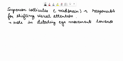 which-of-the-following-structures-is-primarily-responsible-for-the-moving-of-visual-attention-from-one-object-or-position-in-space-to-another-select-one-a-thalamus-b-reticular-activating-sys-33323