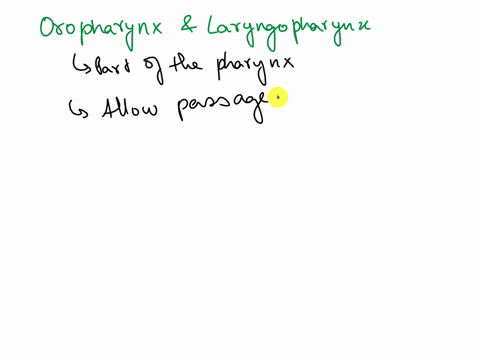 the-portion-of-the-pharynx-that-receives-both-air-and-food-is-the-05687