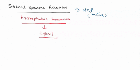 steroid-hormone-receptors-cause-changes-in-gene-expression-by-ida-phosphorvlating-transcription-factors-b-directly-activating-transcription_-cactivating-second-messengers-activating-adenylyl-12793