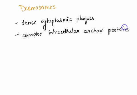 5-what-are-desmosomes-93881