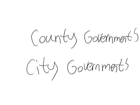 describe-the-organization-of-county-governments-and-the-various-types-of-city-governments-if-you-were-mayor-of-your-city-what-changes-would-you-suggestrecommend