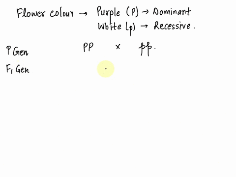 when-mendel-performed-his-initial-cross-on-with-flower-color-as-the-trait-what-was-the-genotype-of-the-f1-generation-when-mendel-pertormed-his-initial-cross-on-wilh-ilower-color-as-the-trait-38538
