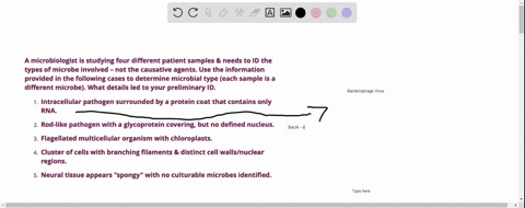 microbiologist-is-studying-four-different-patient-samples-needs-to-id-the-types-of-microbe-involved-not-the-causative-agents-use-the-information-provided-in-the-following-cases-to-determine-54292