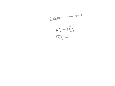 if-a-prokaryotic-cell-contains-200000-base-pairs-how-many-nucleotides-does-it-contain-2pts-27865