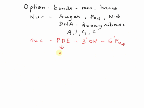 bonds-link-the-nucleotides-together-creating-the-backbone-of-the-double-helix-of-dna-while-bonds-link-the-bases-together-in-complementary-base-pairing-ionic-hydrogen-hydrogen-phosphodiester-66493