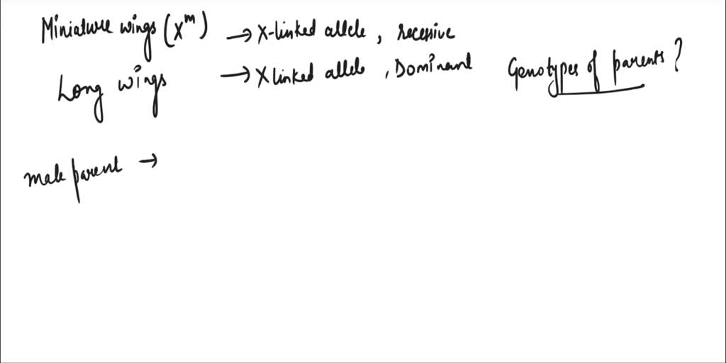 SOLVED: Miniature wings (Xm) in Drosophila result from an X-linked ...