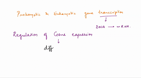 one-difference-between-prokaryotic-and-eukaryotic-gene-transcription-is-the-need-to-open-up-the-chromatin-structure-to-enable-access-to-the-promoter-and-regulatory-region-which-factors-contr-92623