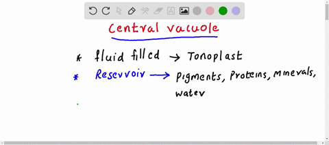 the-central-vacuole-in-many-plant-cells-is-important-for-a-storage-b-photosynthesis-c-structural-sup-09366
