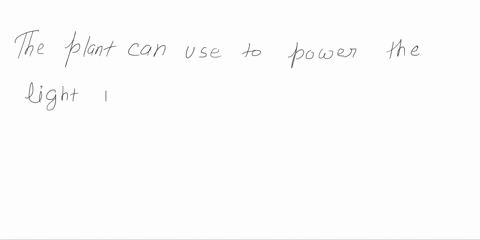 explain-how-the-electron-transport-chain-used-solar-energy-and-water-to-produce-atp-and-nadph-66637