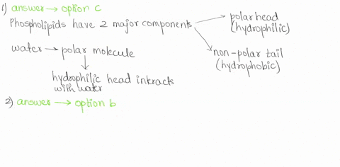 whlch-of-the-follwing-statements-describes-the-interaction-of-water-molecues-wlth-phospholipids-the-polar-heads-avoid-water-the-nonpolar-tails-attact-water-because-water-0jj5-pobar-and-oppos-53314