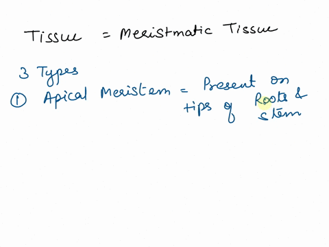 name-the-tissue-which-is-responsible-for-growth-in-plants-70723
