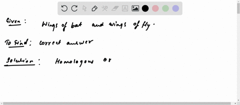the-wings-of-a-bat-and-the-wings-of-a-fly-are-______-and-show-morphological-______-a-homologous-convergence-b-analogues-convergence-c-homologous-divergence-d-analogues-divergence-53548