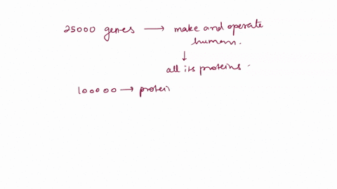 when-the-human-genome-sequence-was-finally-completed-scientists-were-surprised-to-discover-that-the-genome-contains-far-fewer-genes-than-expected-how-many-genes-are-present-in-the-human-geno-61478