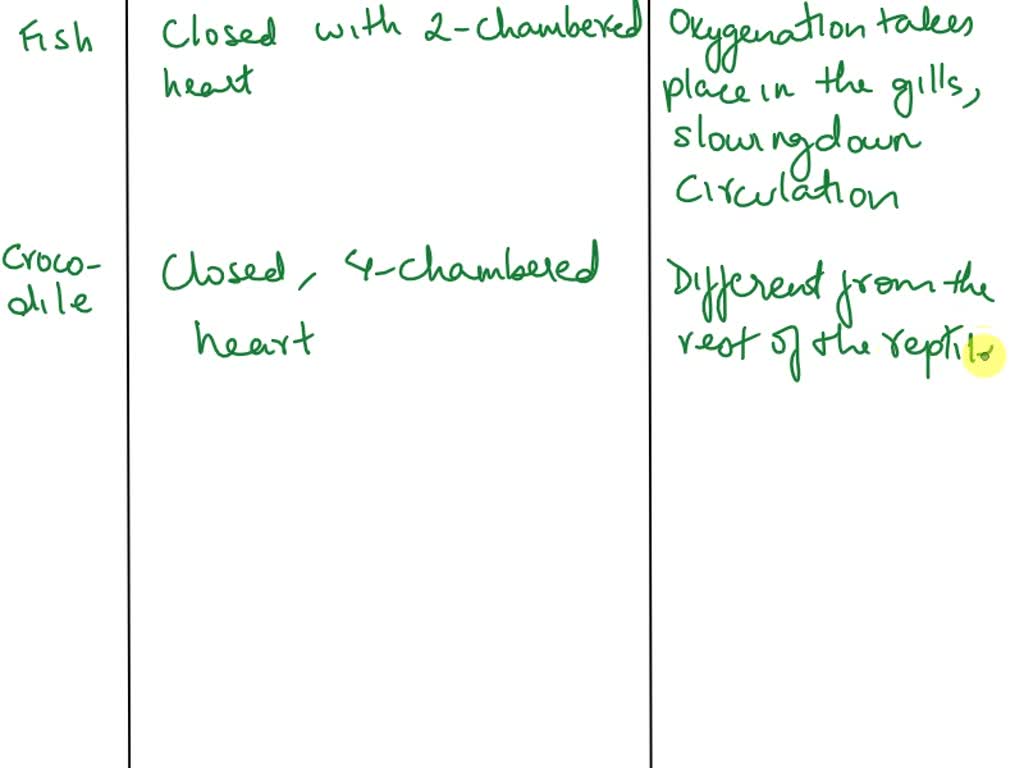 SOLVED 'Exercise Comparative Anatomy) Animal Type of Circulatory