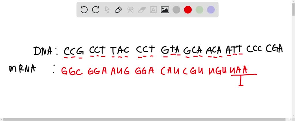 SOLVED: a) Transcribe the following gene into mRNA: CCG CCT TAC CCT GTA ...