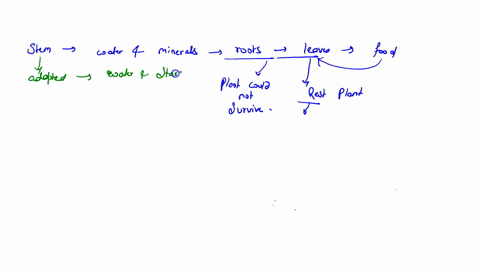 how-have-roots-stems-and-leaves-been-adapted-from-their-original-function-to-what-is-seen-today-give-an-example-for-each-type-of-tissue-and-briefly-explain-how-each-could-have-adapted-to-a-c-43856