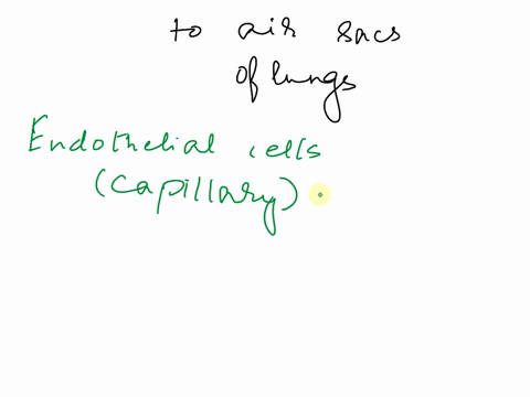 question1015-points-based-on-what-you-have-learned-about-external-respirationlistin-orderthe-structures-of-the-respiratorymembrane-that-carbon-dioxide-must-cross-to-move-from-the-blood-into-42421