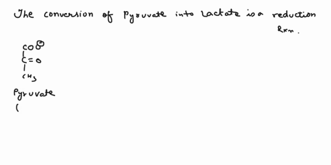 a-is-the-conversion-of-pyruvate-to-lactate-an-oxidation-or-reduction-oxidation-reduction-b-when-this-reaction-takes-place-in-a-cell-what-is-the-oxidizing-agent-co2-pyruvate-nad-lactate-nadh-80413