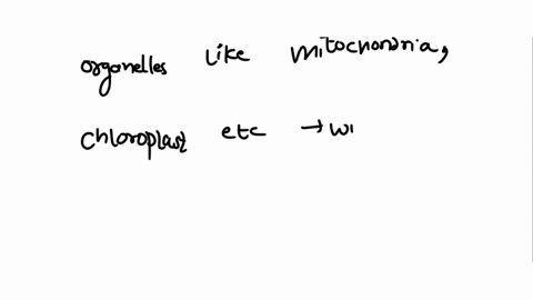 6-microtubules-are-the-cellular-structures-that-allow-for-movement-of-the-organelles-within-the-cell-a-true-b-false-7-in-many-types-of-tissues-aan-_______________-holds-the-individual-cells-60726