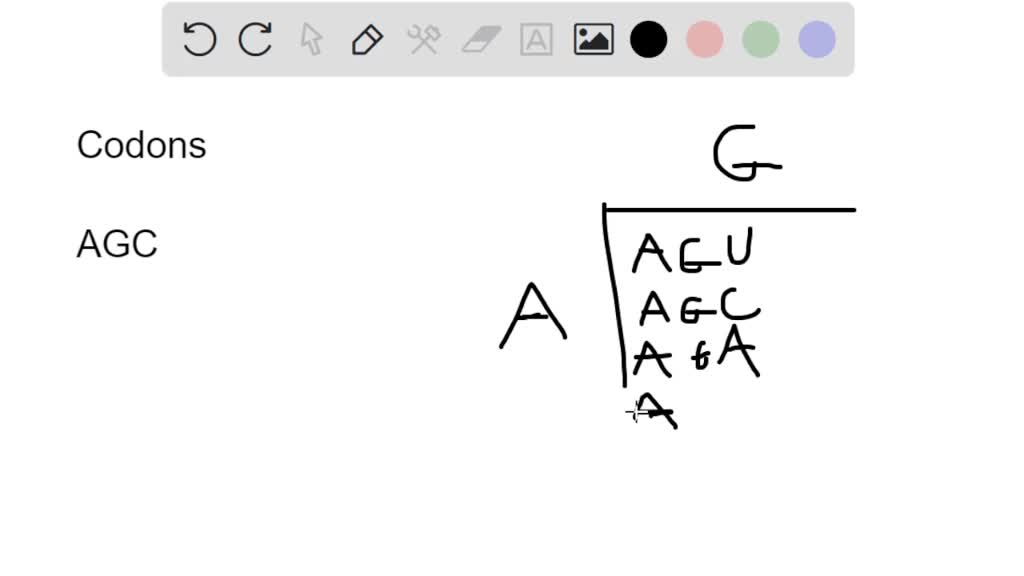 SOLVED What amino acid does the codon AGC code for? Use the chart